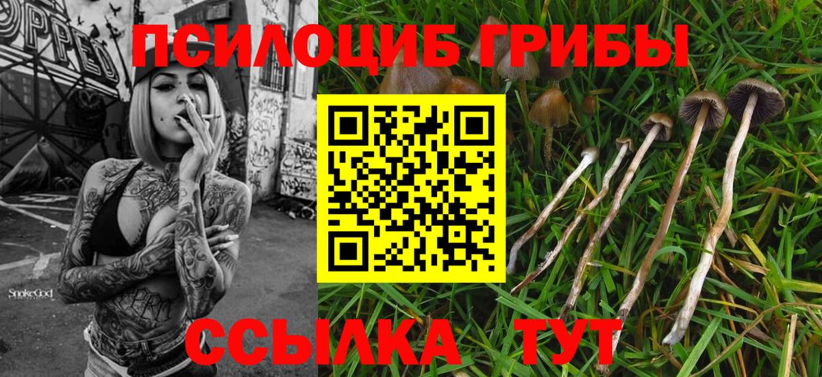 Галлюциногенные грибы Psilocybe  Вход с VPN  Орехово-Зуево  Псилоцибиновые грибы Cubensis 