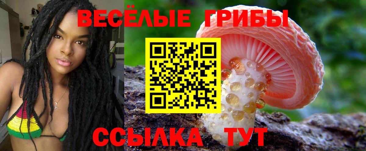 Псилоцибиновые грибы MAGIC MUSHROOMS Орехово-Зуево